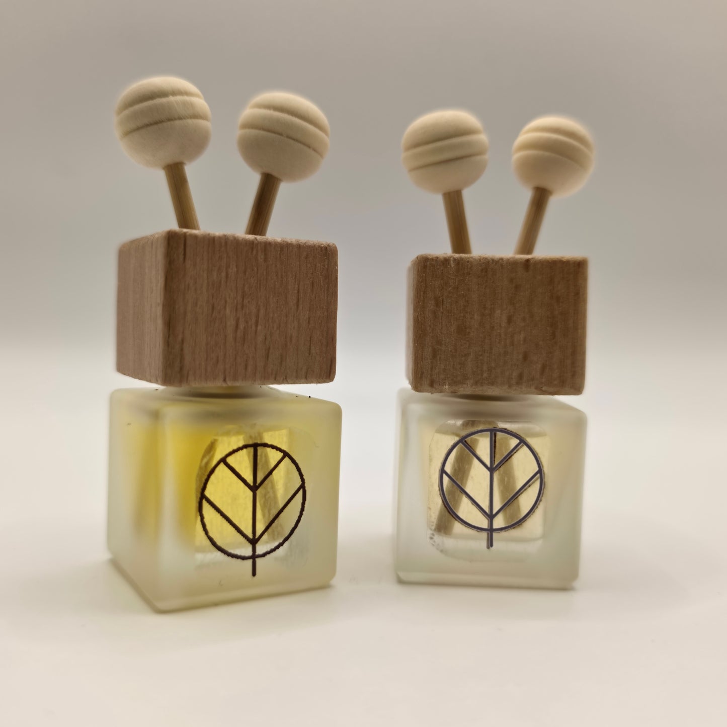 Car diffuser set of 2